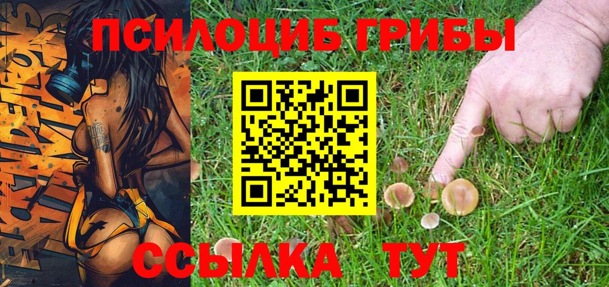 Саранск  Псилоцибиновые грибы Magic Shrooms  Вход с VPN 